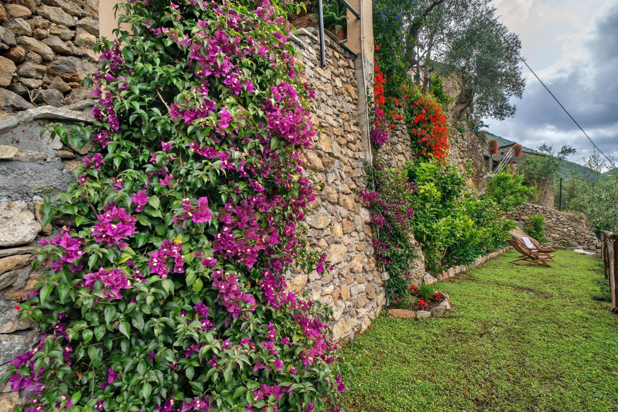 Agriturismo U' Spigu Nonna Annetta Nasino Eksteriør bilde